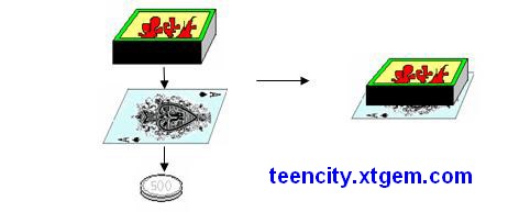 teencity.xtgem.com